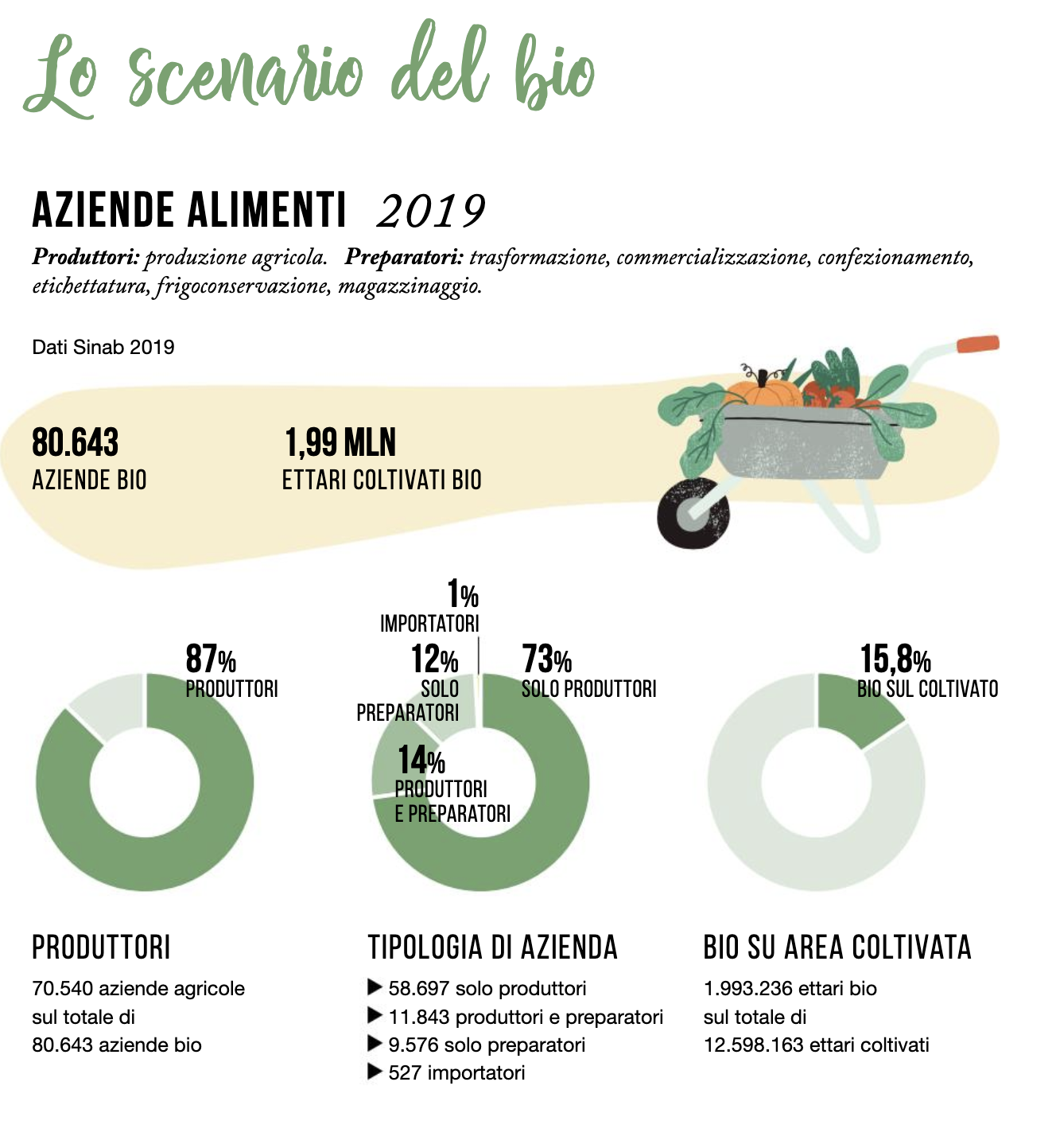 Il mercato dei prodotti biologici in Italia